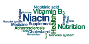 What Is Niacin – That helps to lower the cholesterol (1)