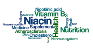 What Is Niacin – That helps to lower the cholesterol (1)